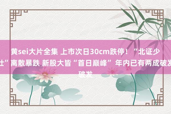 黄sei大片全集 上市次日30cm跌停！“北证少壮”离散暴跌 新股大皆“首日巅峰” 年内已有两成破发