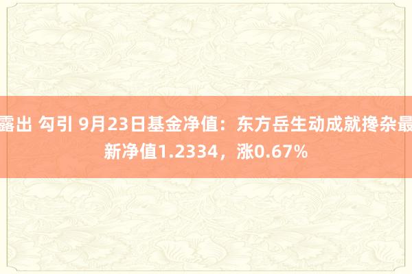 露出 勾引 9月23日基金净值：东方岳生动成就搀杂最新净值1.2334，涨0.67%