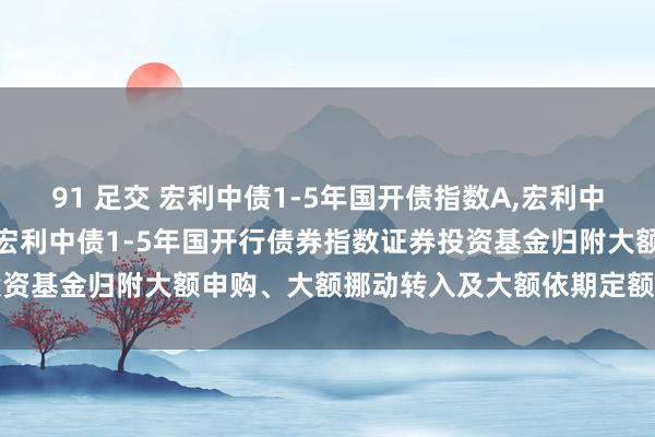 91 足交 宏利中债1-5年国开债指数A,宏利中债1-5年国开债指数C: 宏利中债1-5年国开行债券指数证券投资基金归附大额申购、大额挪动转入及大额依期定额投资业务的公告