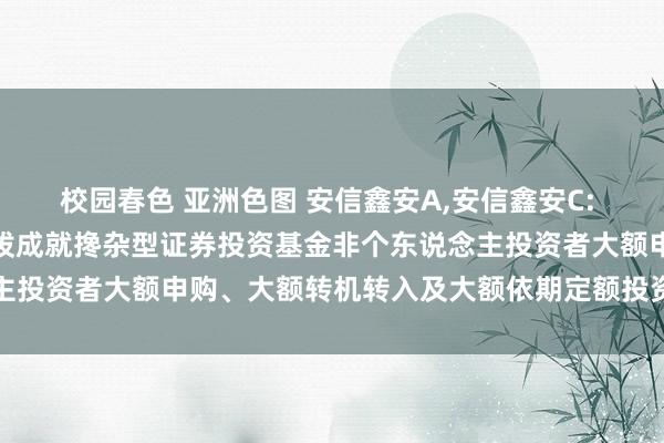 校园春色 亚洲色图 安信鑫安A,安信鑫安C: 对于暂停安信鑫安得利活泼成就搀杂型证券投资基金非个东说念主投资者大额申购、大额转机转入及大额依期定额投资业务的公告