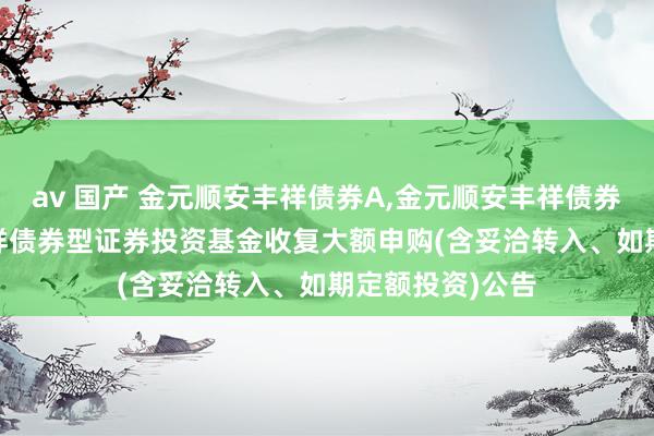av 国产 金元顺安丰祥债券A,金元顺安丰祥债券C: 金元顺安丰祥债券型证券投资基金收复大额申购(含妥洽转入、如期定额投资)公告