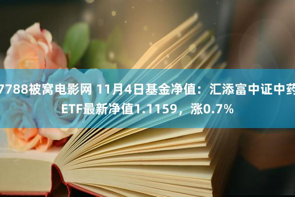 7788被窝电影网 11月4日基金净值：汇添富中证中药ETF最新净值1.1159，涨0.7%