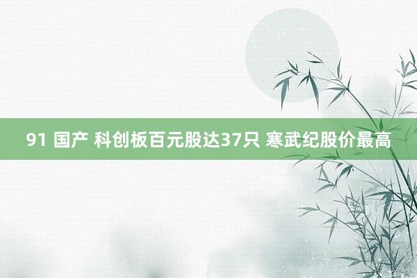 91 国产 科创板百元股达37只 寒武纪股价最高