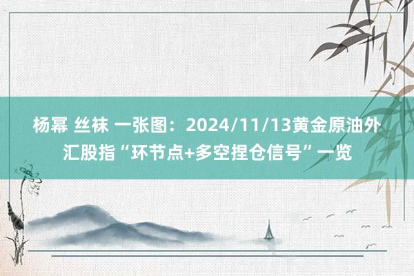 杨幂 丝袜 一张图：2024/11/13黄金原油外汇股指“环节点+多空捏仓信号”一览