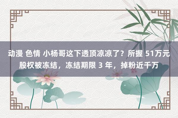 动漫 色情 小杨哥这下透顶凉凉了？所握 51万元股权被冻结，冻结期限 3 年，掉粉近千万