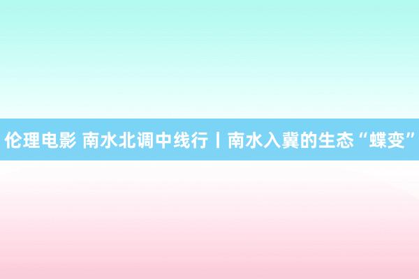伦理电影 南水北调中线行丨南水入冀的生态“蝶变”