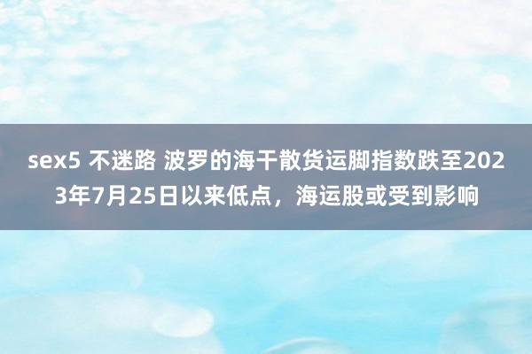 sex5 不迷路 波罗的海干散货运脚指数跌至2023年7月25日以来低点，海运股或受到影响