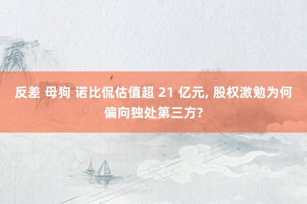 反差 母狗 诺比侃估值超 21 亿元， 股权激勉为何偏向独处第三方?