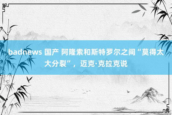 badnews 国产 阿隆索和斯特罗尔之间“莫得太大分裂”，迈克·克拉克说