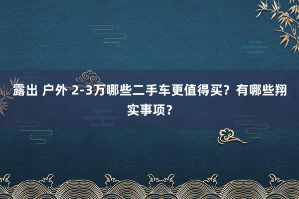 露出 户外 2-3万哪些二手车更值得买？有哪些翔实事项？