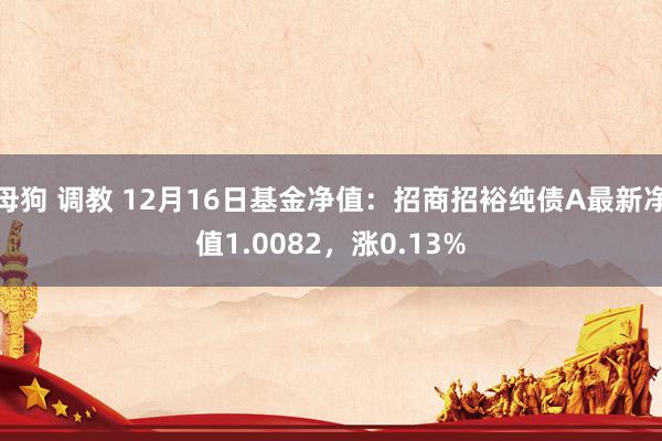 母狗 调教 12月16日基金净值：招商招裕纯债A最新净值1.0082，涨0.13%