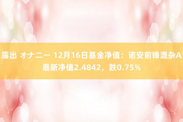 露出 オナニー 12月16日基金净值：诺安前锋混杂A最新净值2.4842，跌0.75%