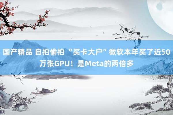 国产精品 自拍偷拍 “买卡大户”微软本年买了近50万张GPU！是Meta的两倍多