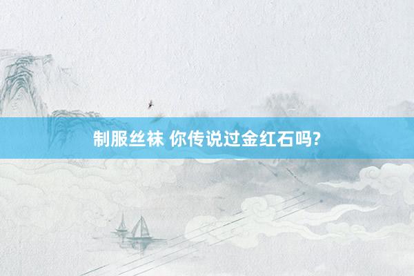 制服丝袜 你传说过金红石吗?