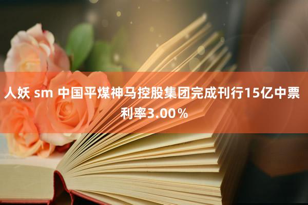 人妖 sm 中国平煤神马控股集团完成刊行15亿中票 利率3.00％