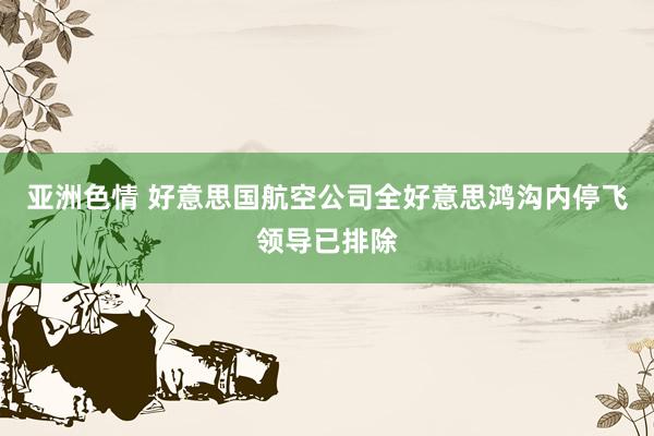 亚洲色情 好意思国航空公司全好意思鸿沟内停飞领导已排除
