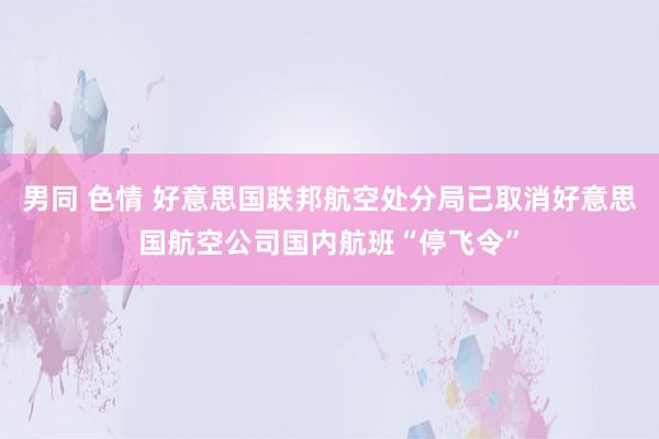 男同 色情 好意思国联邦航空处分局已取消好意思国航空公司国内航班“停飞令”