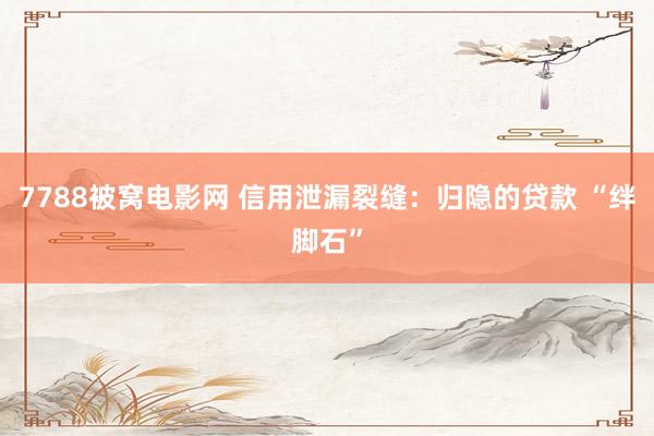 7788被窝电影网 信用泄漏裂缝：归隐的贷款 “绊脚石”