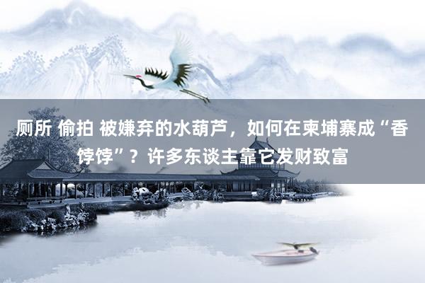 厕所 偷拍 被嫌弃的水葫芦，如何在柬埔寨成“香饽饽”？许多东谈主靠它发财致富