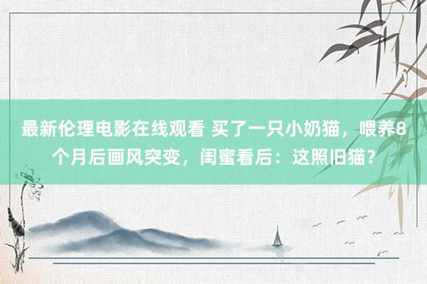 最新伦理电影在线观看 买了一只小奶猫，喂养8个月后画风突变，闺蜜看后：这照旧猫？