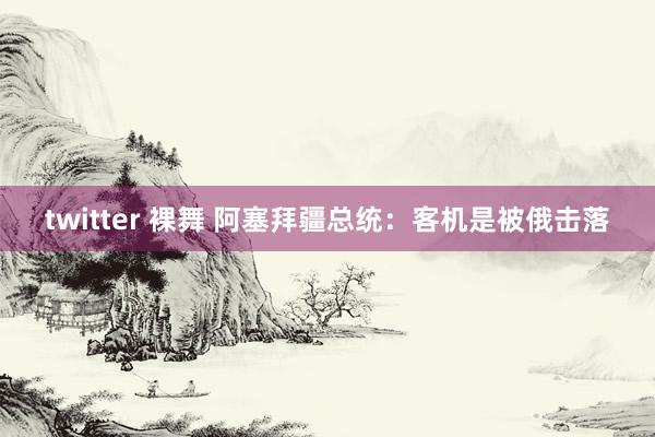 twitter 裸舞 阿塞拜疆总统：客机是被俄击落