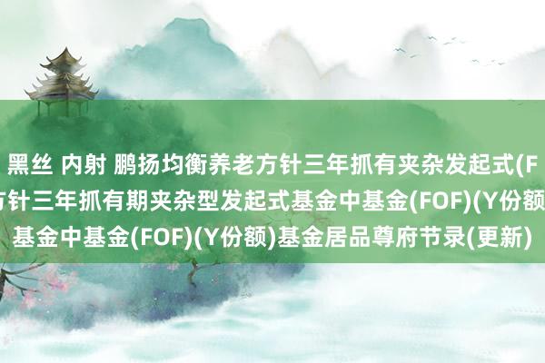 黑丝 内射 鹏扬均衡养老方针三年抓有夹杂发起式(FOF)Y: 鹏扬均衡养老方针三年抓有期夹杂型发起式基金中基金(FOF)(Y份额)基金居品尊府节录(更新)