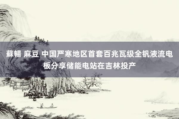 蘇暢 麻豆 中国严寒地区首套百兆瓦级全钒液流电板分享储能电站在吉林投产