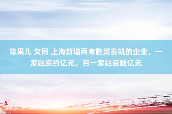 浆果儿 女同 上海新增两家融资奏凯的企业，一家融资约亿元，另一家融资数亿元