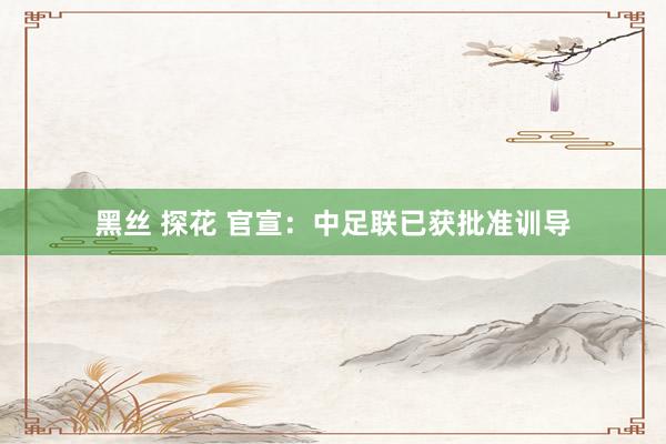 黑丝 探花 官宣：中足联已获批准训导