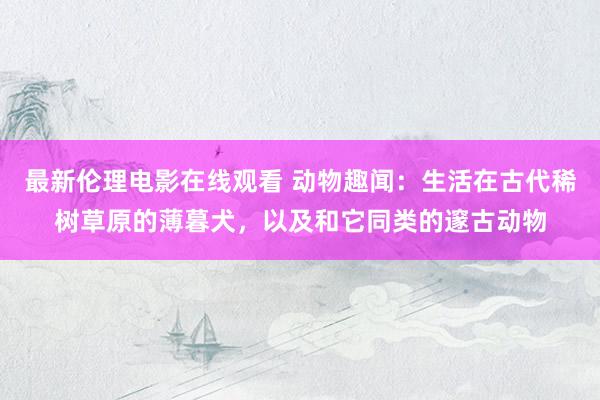 最新伦理电影在线观看 动物趣闻：生活在古代稀树草原的薄暮犬，以及和它同类的邃古动物