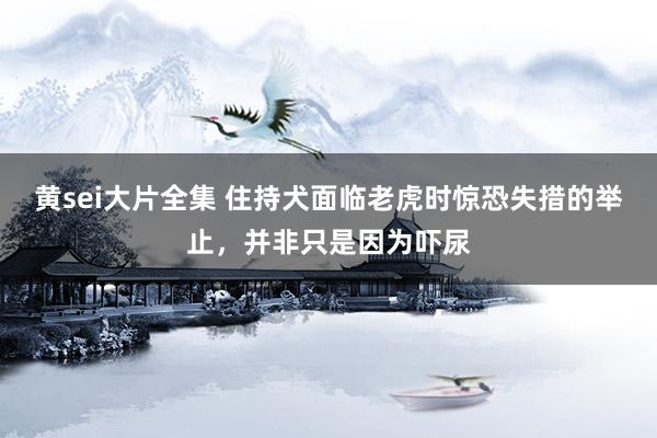 黄sei大片全集 住持犬面临老虎时惊恐失措的举止，并非只是因为吓尿