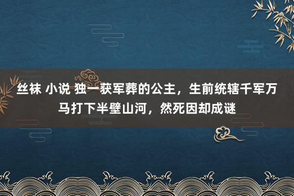 丝袜 小说 独一获军葬的公主，生前统辖千军万马打下半壁山河，然死因却成谜