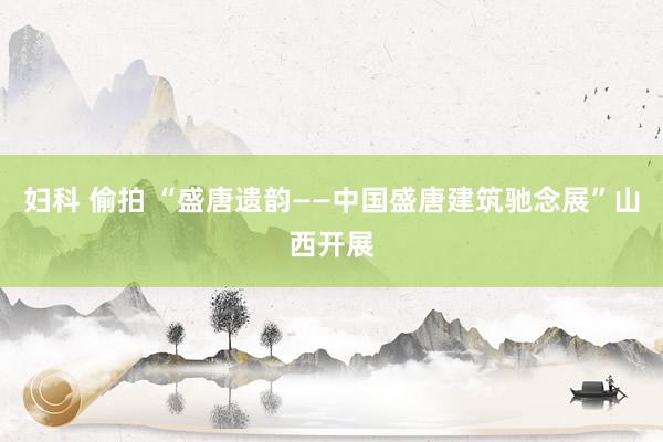 妇科 偷拍 “盛唐遗韵——中国盛唐建筑驰念展”山西开展