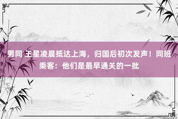 男同 王星凌晨抵达上海，归国后初次发声！同班乘客：他们是最早通关的一批