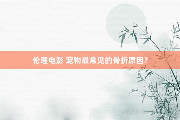 伦理电影 宠物最常见的骨折原因？