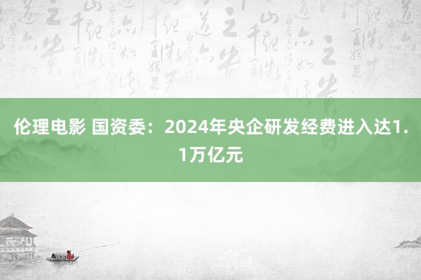 伦理电影 国资委：2024年央企研发经费进入达1.1万亿元