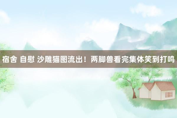 宿舍 自慰 沙雕猫图流出！两脚兽看完集体笑到打鸣