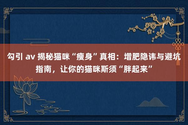 勾引 av 揭秘猫咪“瘦身”真相：增肥隐讳与避坑指南，让你的猫咪斯须“胖起来”