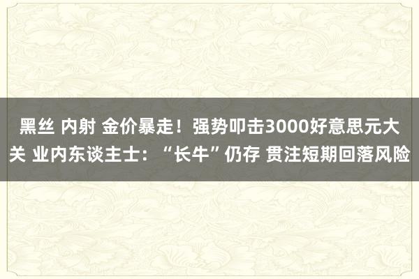 黑丝 内射 金价暴走！强势叩击3000好意思元大关 业内东谈主士：“长牛”仍存 贯注短期回落风险