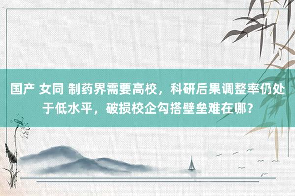 国产 女同 制药界需要高校，科研后果调整率仍处于低水平，破损校企勾搭壁垒难在哪？