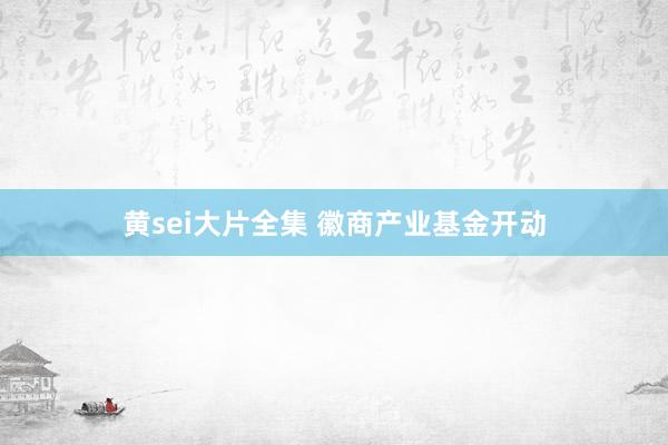 黄sei大片全集 徽商产业基金开动
