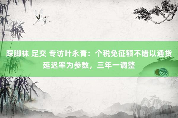 踩脚袜 足交 专访叶永青：个税免征额不错以通货延迟率为参数，三年一调整