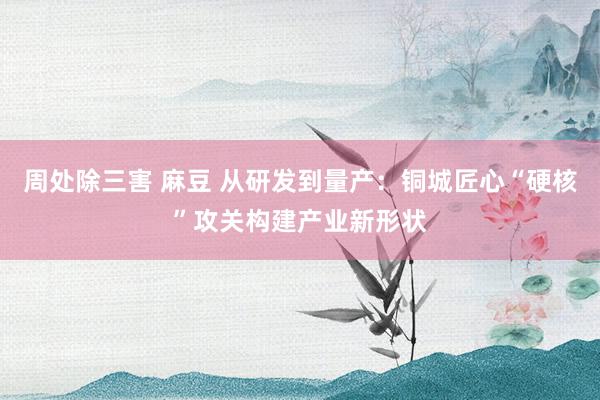 周处除三害 麻豆 从研发到量产：铜城匠心“硬核”攻关构建产业新形状