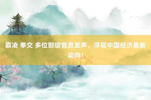 霸凌 拳交 多位部级官员发声，浮现中国经济最新动向！
