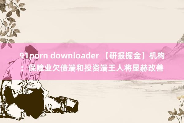 91porn downloader 【研报掘金】机构：保障业欠债端和投资端王人将显赫改善