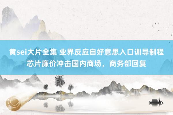 黄sei大片全集 业界反应自好意思入口训导制程芯片廉价冲击国内商场，商务部回复