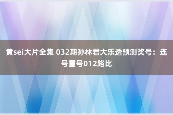 黄sei大片全集 032期孙林君大乐透预测奖号：连号重号012路比