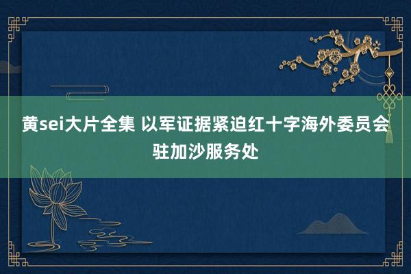 黄sei大片全集 以军证据紧迫红十字海外委员会驻加沙服务处