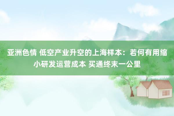 亚洲色情 低空产业升空的上海样本：若何有用缩小研发运营成本 买通终末一公里