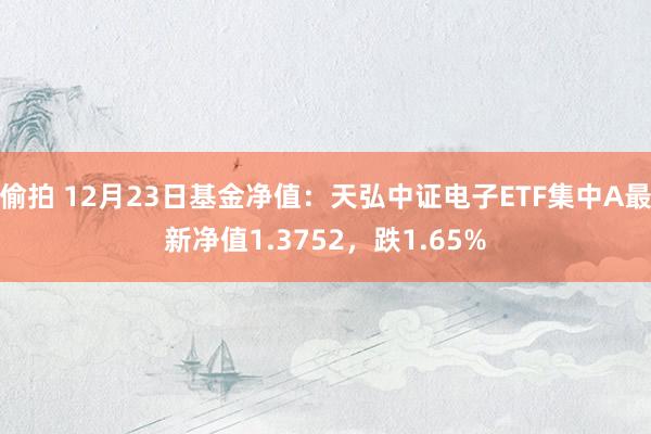 偷拍 12月23日基金净值：天弘中证电子ETF集中A最新净值1.3752，跌1.65%